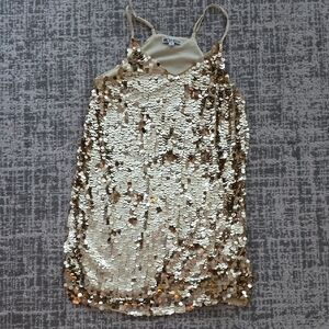 Walter Baker Cream and Gold Sequin Top